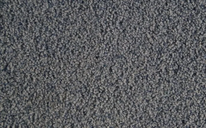 Teppich mit dem Vivenso Wasserstaubsauger saugen